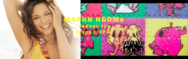 ПСИЛОЦИБИНОВЫЕ ГРИБЫ Вязники