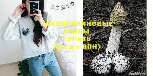 винт Вяземский
