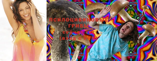 крисы Горняк