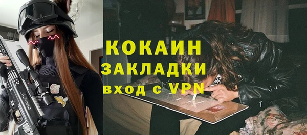 крисы Горняк