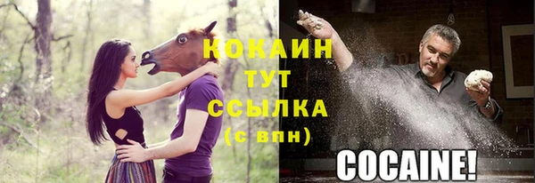 ALPHA PVP Тобольск
