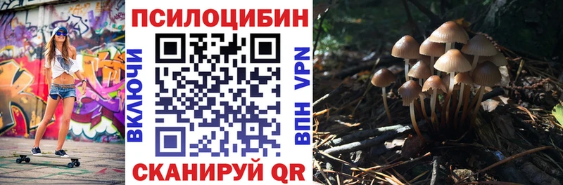 Псилоцибиновые грибы Magic Shrooms  Железногорск-Илимский 